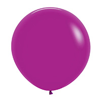 셈퍼 60cm [스탠다드 퍼플오키드] 1개 소포장